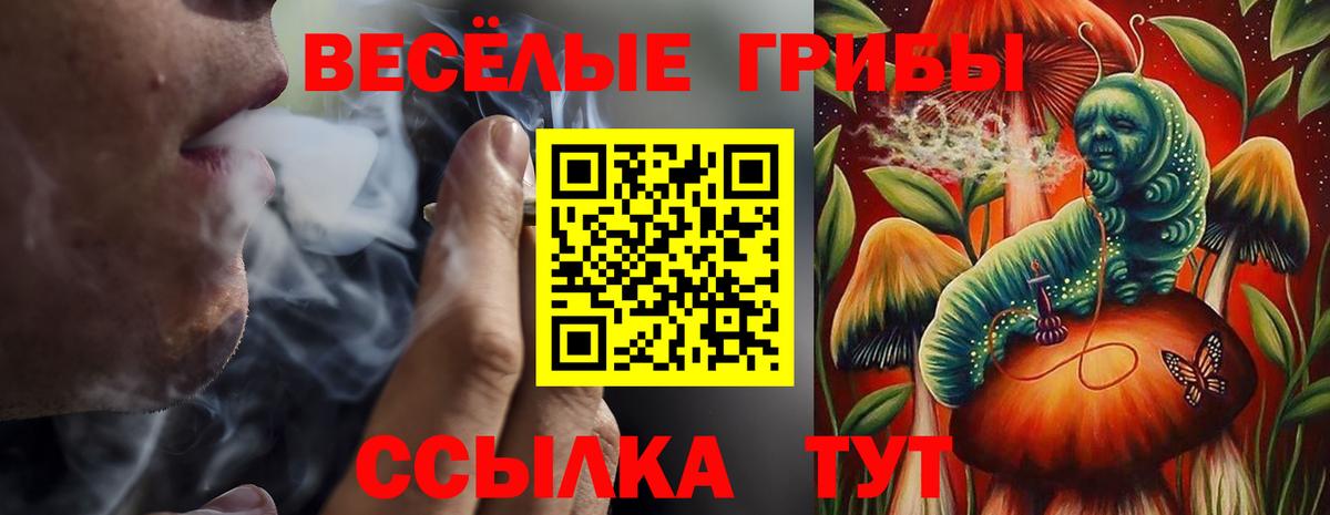 Мыски  Псилоцибиновые грибы Magic Shrooms  Псилоцибиновые грибы MAGIC MUSHROOMS  Вход с VPN 